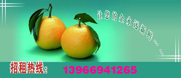 闲置横栏广告1